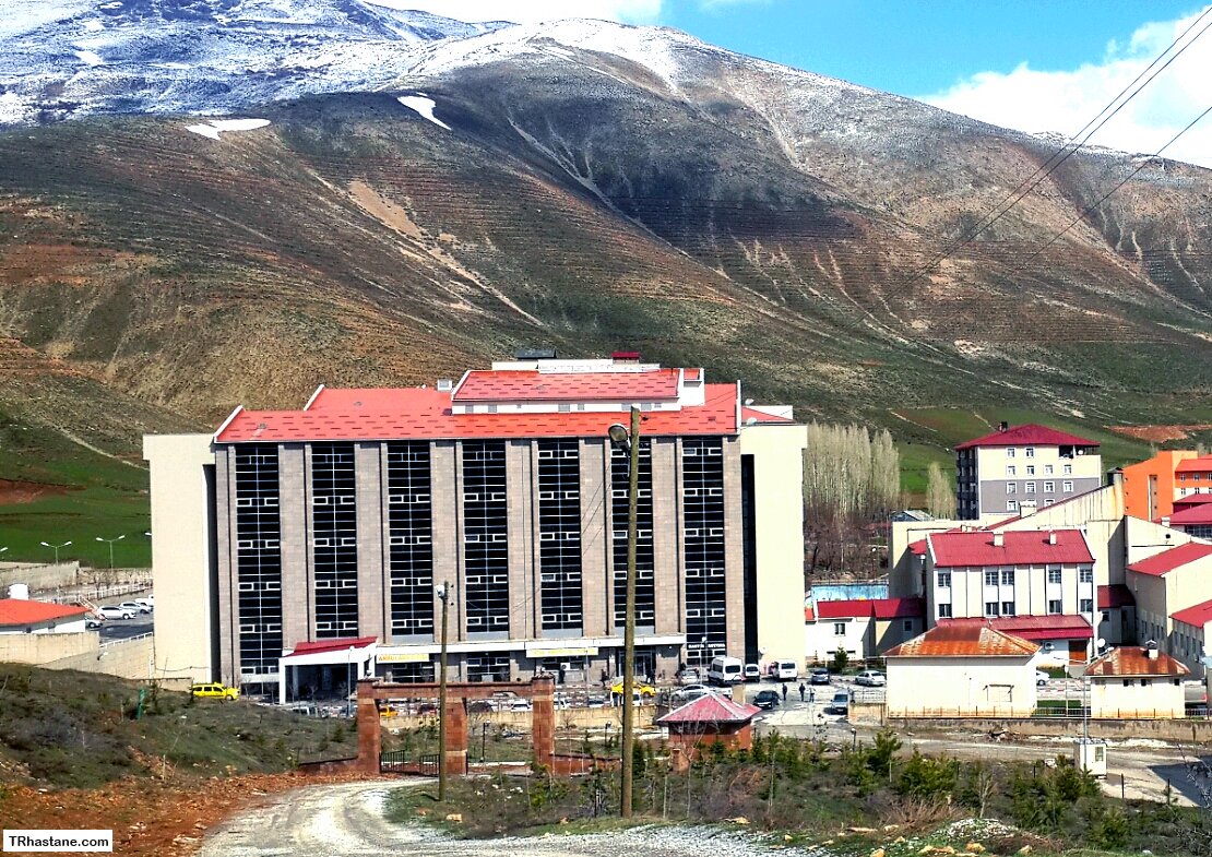 Bitlis Devlet Hastanesi İş İlanları 3 Bitlis Devlet Hastanesi İş İlanları ve Başvuru Süreci