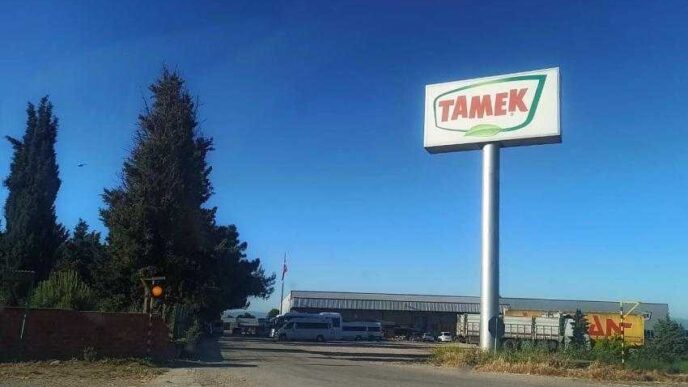 Tamek İş Başvuru Formu: Dikkat Edilecek Noktalar