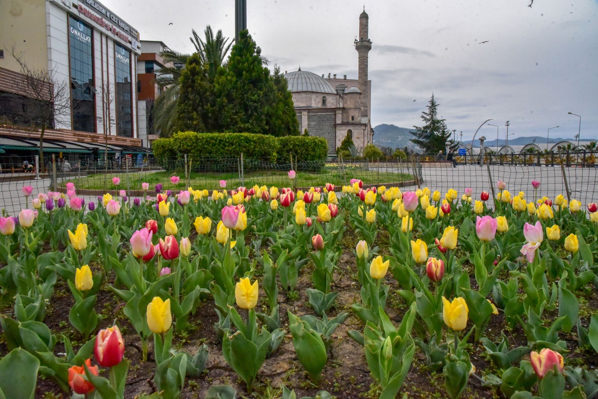 Giresun Belediyesi Personel Alımı: Başvuru Şartları ve Süreci