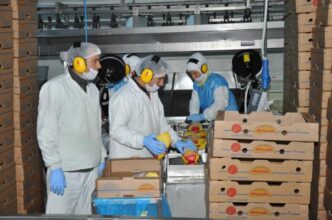 Keskinoğlu İş İlanları ve Kariyer Fırsatları