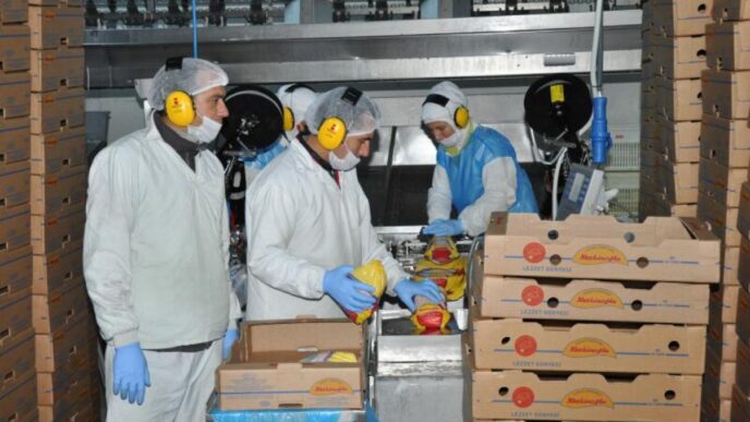 Keskinoğlu İş İlanları ve Kariyer Fırsatları